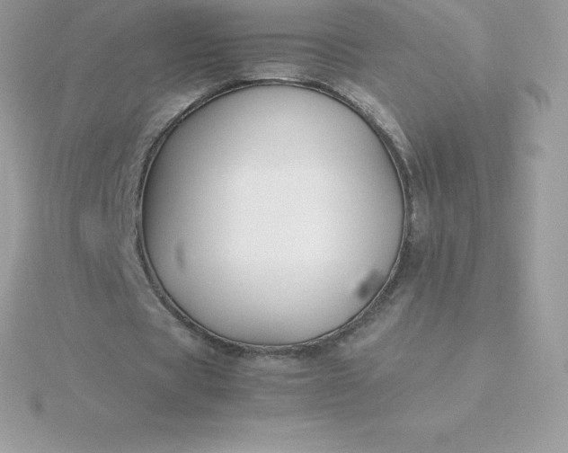 X0000115720529200911251919
