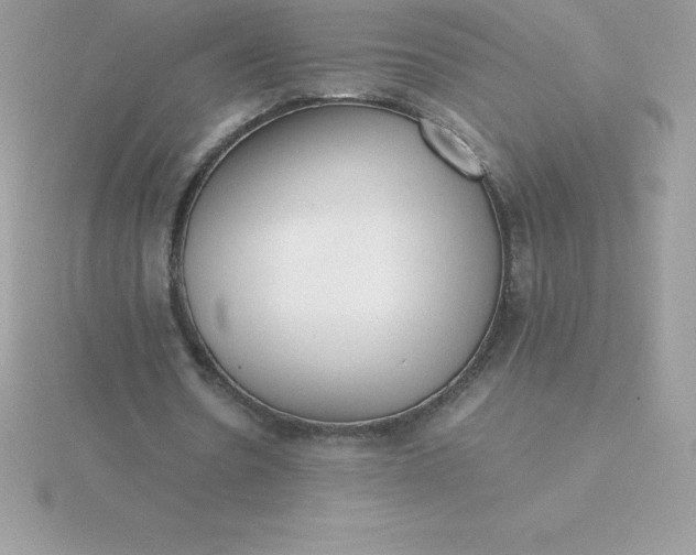 X0000115720530200911251919