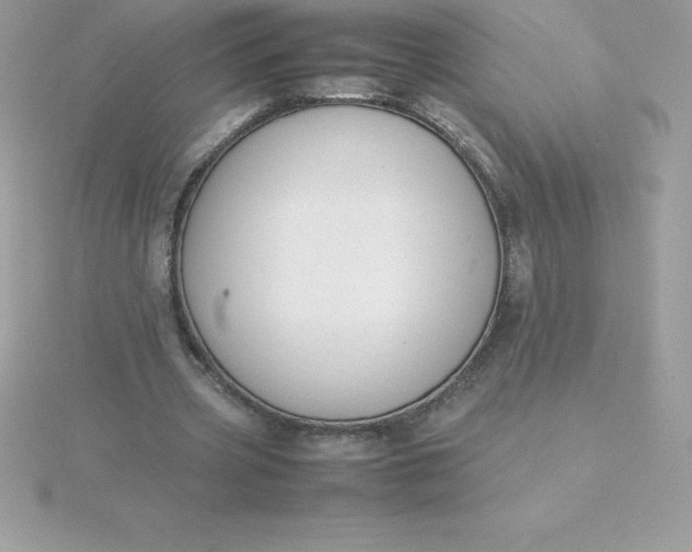 X0000115720533200911251919