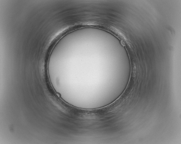 X0000115720535200911251919