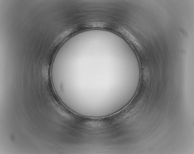 X0000115720537200911251919