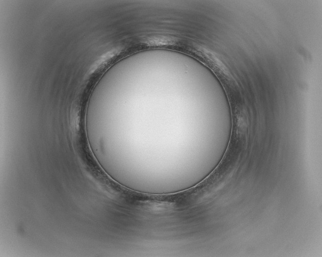X0000115720539200911251919