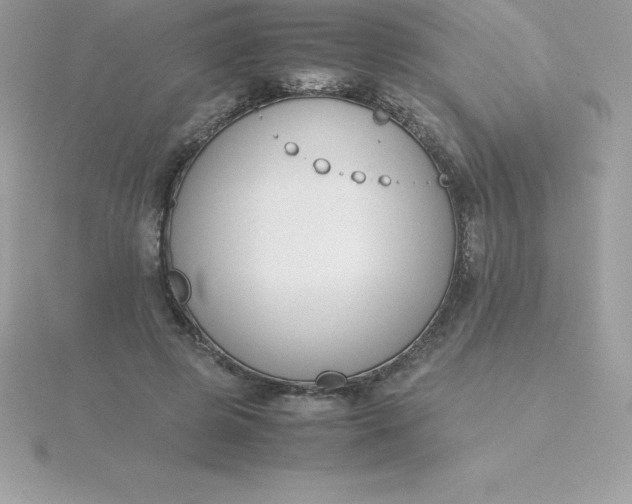 X0000115720545200911251919