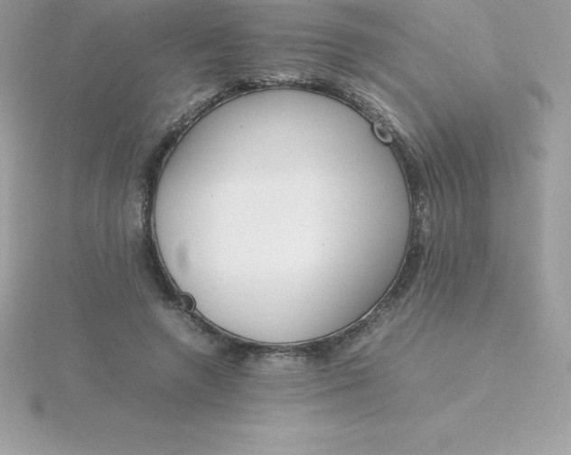 X0000115720546200911251919
