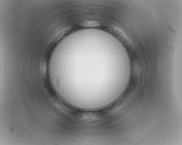 X0000115720549200911251919