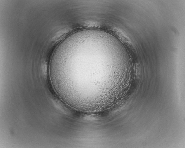 X0000115720550200911251919
