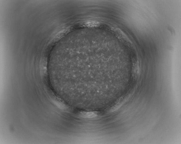 X0000115720553200911251919