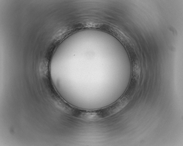 X0000115720554200911251919
