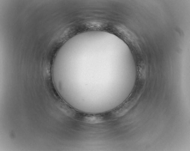 X0000115720561200911251919