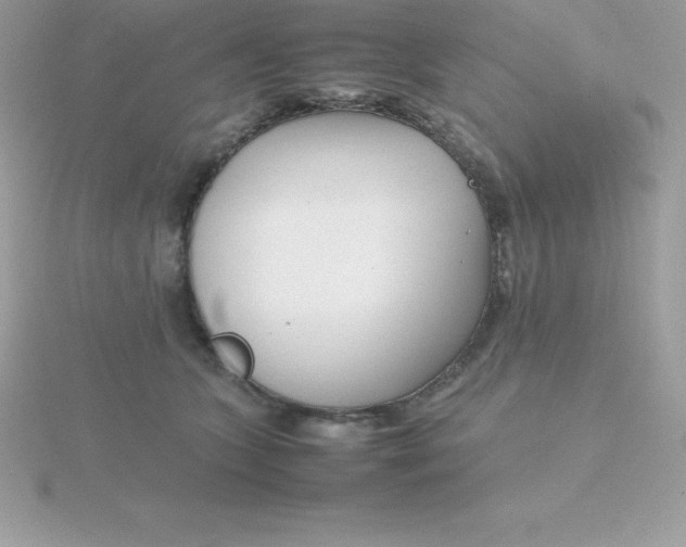X0000115720563200911251919
