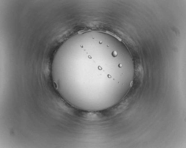 X0000115720566200911251919