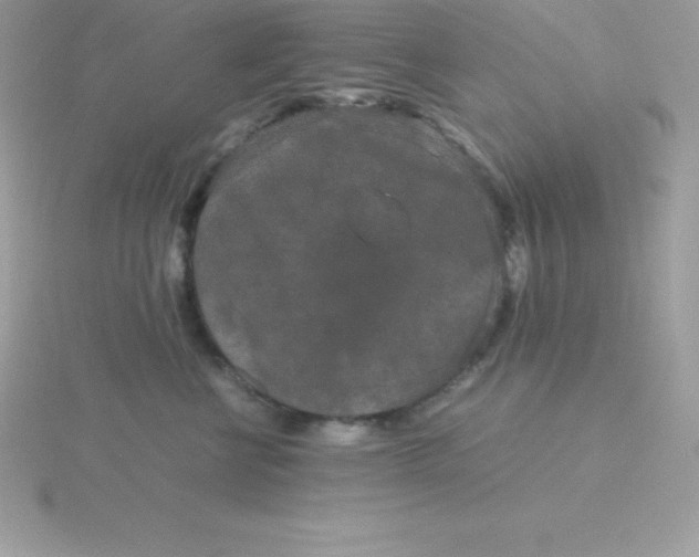 X0000115720570200911251919
