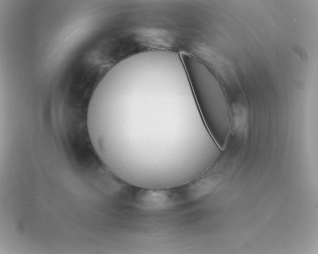 X0000115720573200911251919