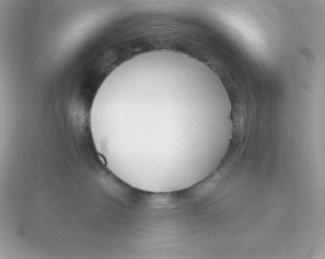 X0000115720574200911251919