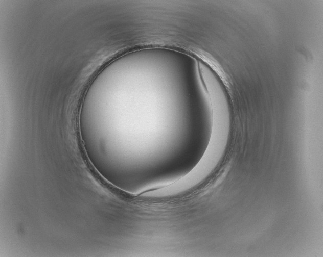 X0000115720577200911251919