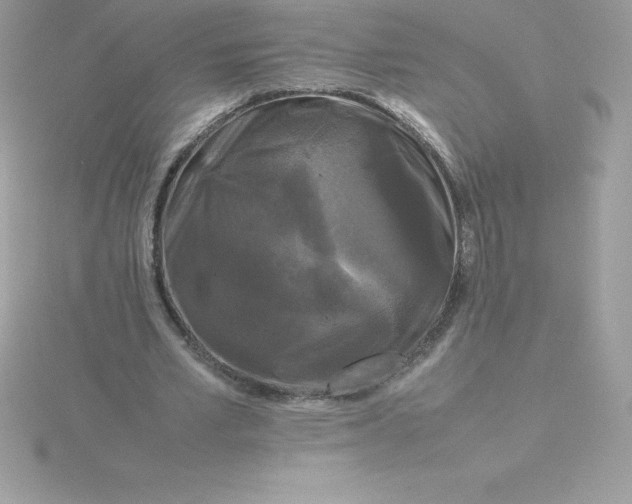 X0000115720581200911251918