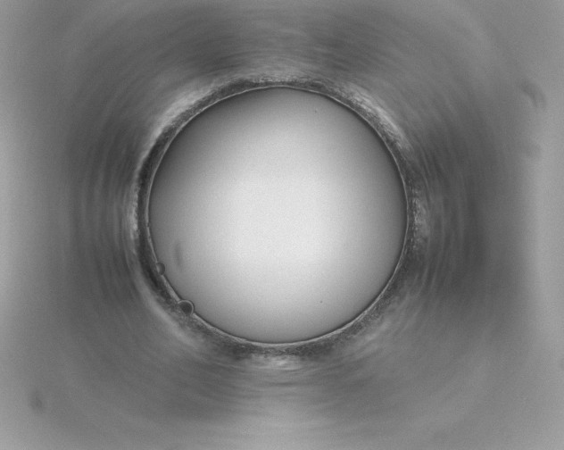 X0000115720582200911251918