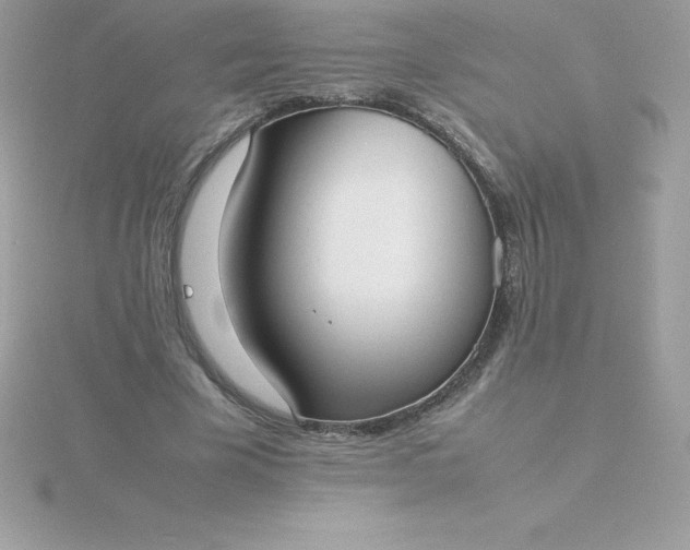 X0000115720585200911251918