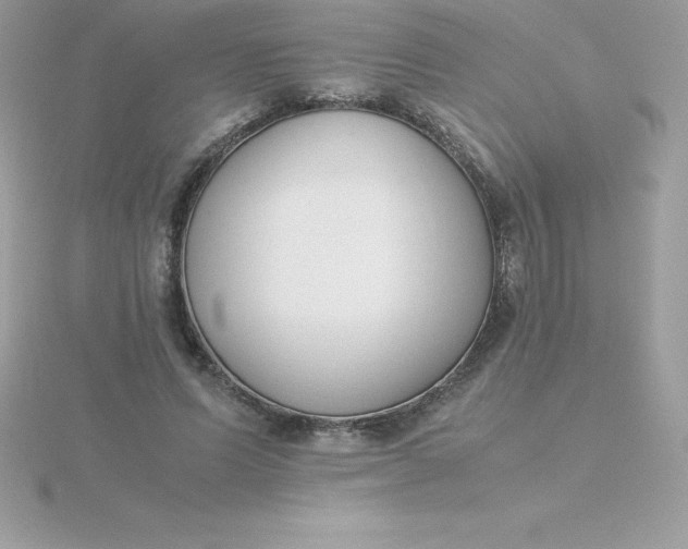 X0000115720591200911251918