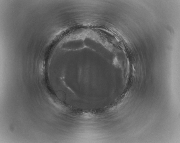 X0000115720592200911251918