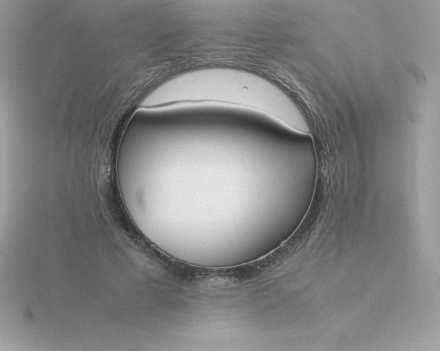 X0000115720593200911251918