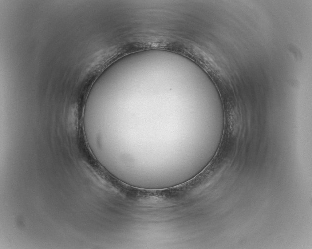 X0000115720594200911251918