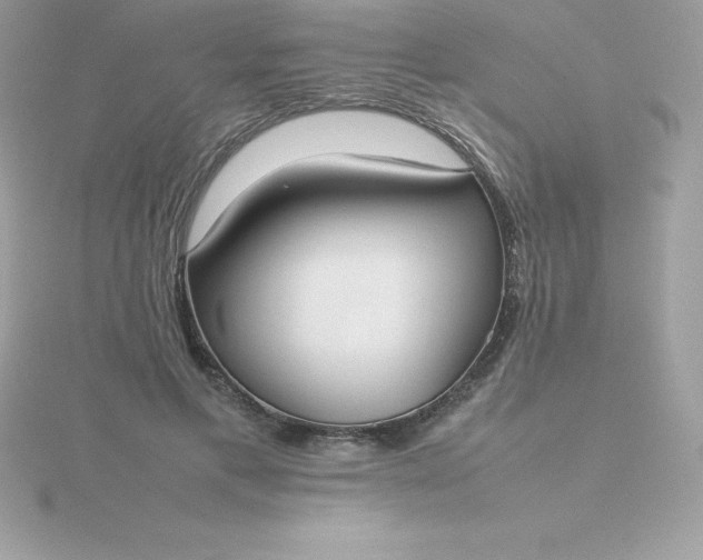X0000115720597200911251918