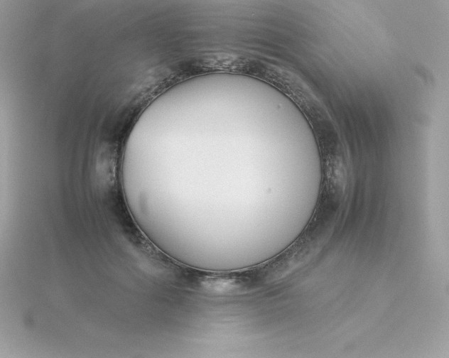 X0000115720602200911251918