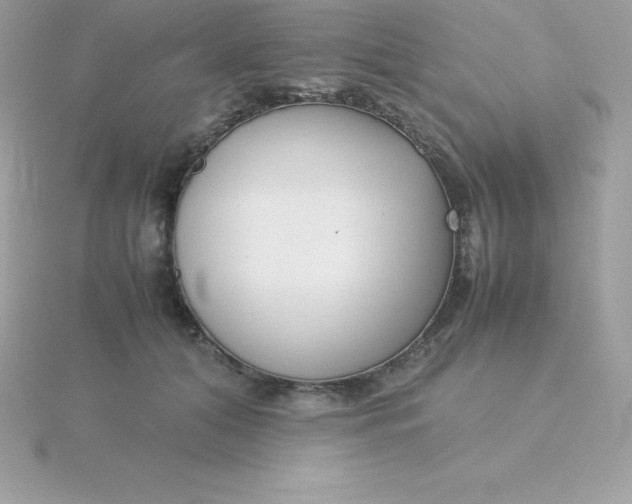 X0000115720608200911251918