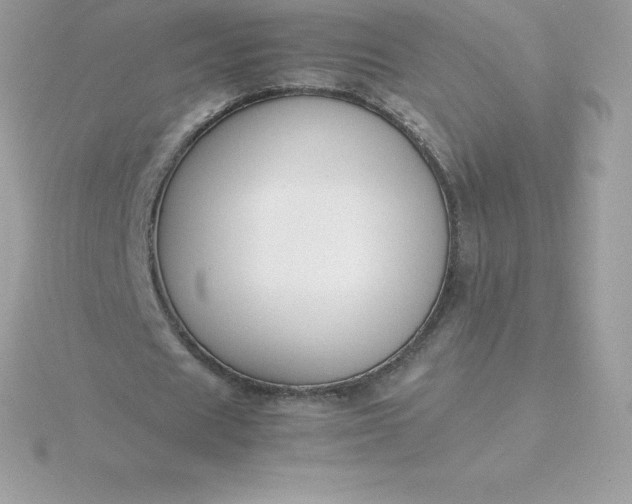 X0000115720625200911251917