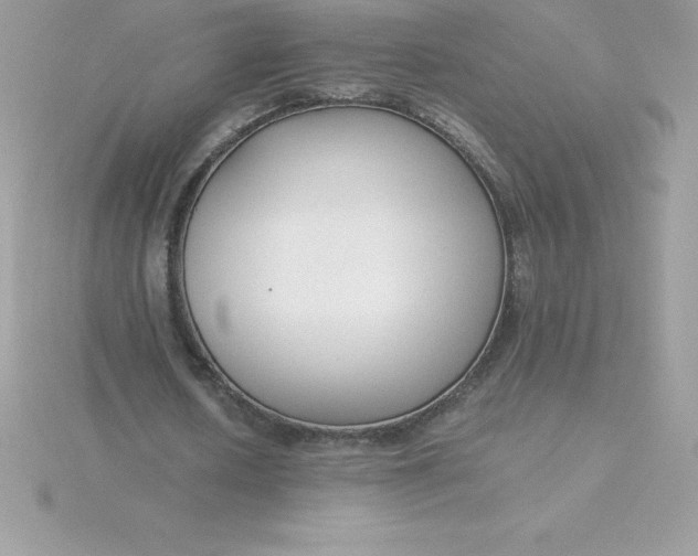 X0000115720626200911251917