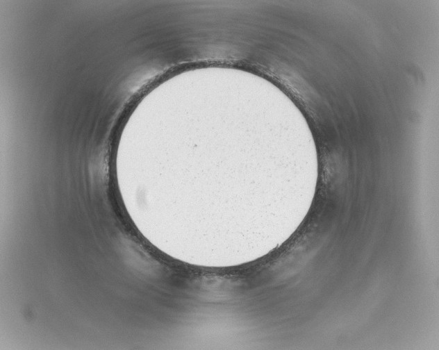 X0000115720632200911251917