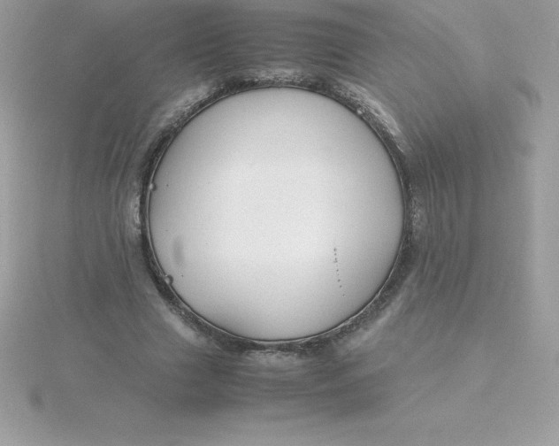 X0000115720633200911251917