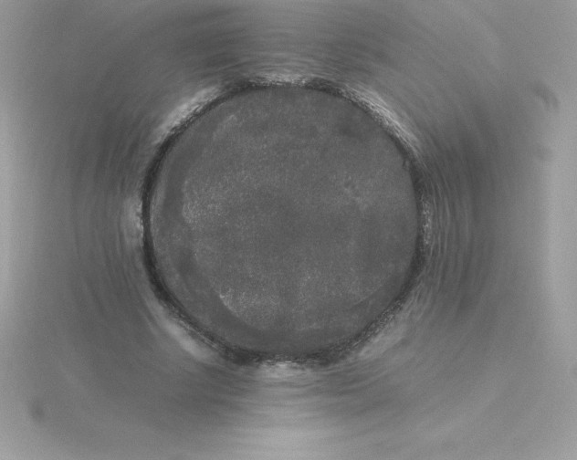 X0000115720634200911251917