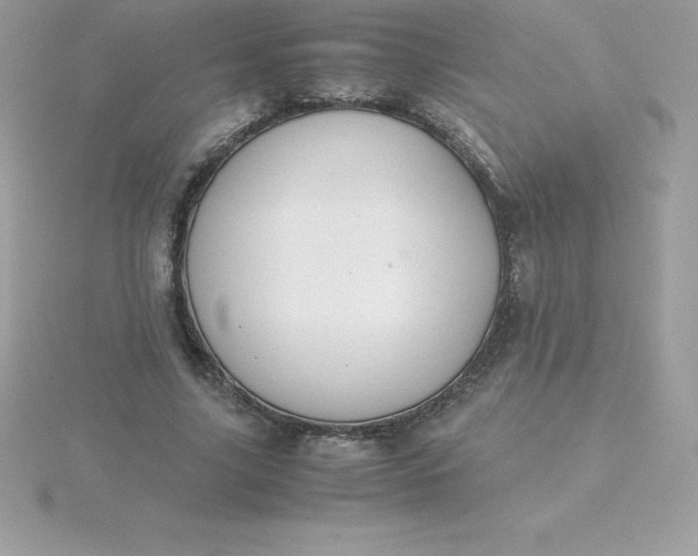 X0000115720635200911251917