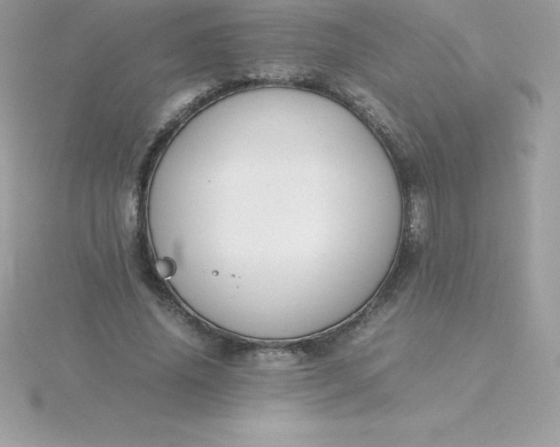 X0000115720636200911251917