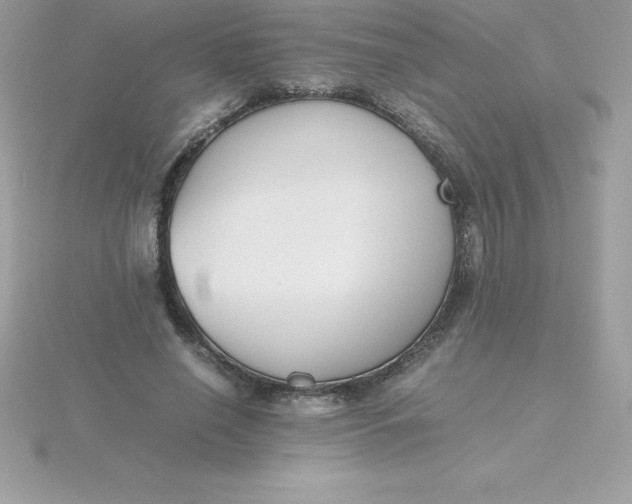 X0000115720638200911251917