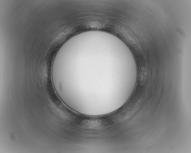X0000115720639200911251917