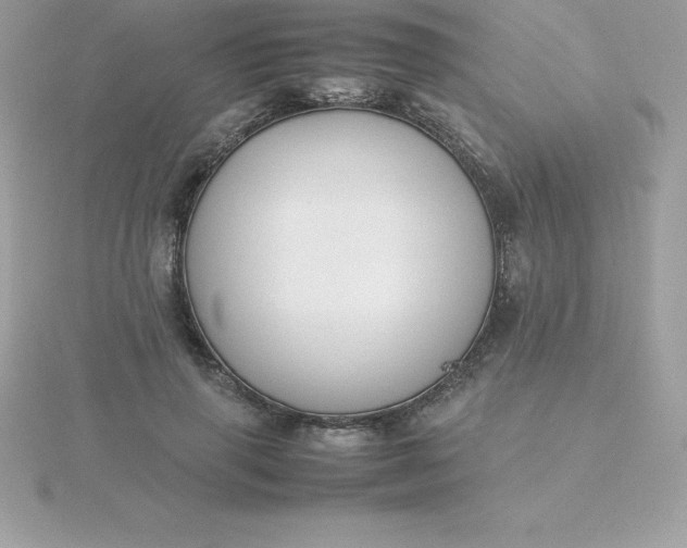 X0000115720645200911251918