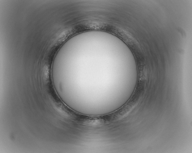 X0000115720646200911251918