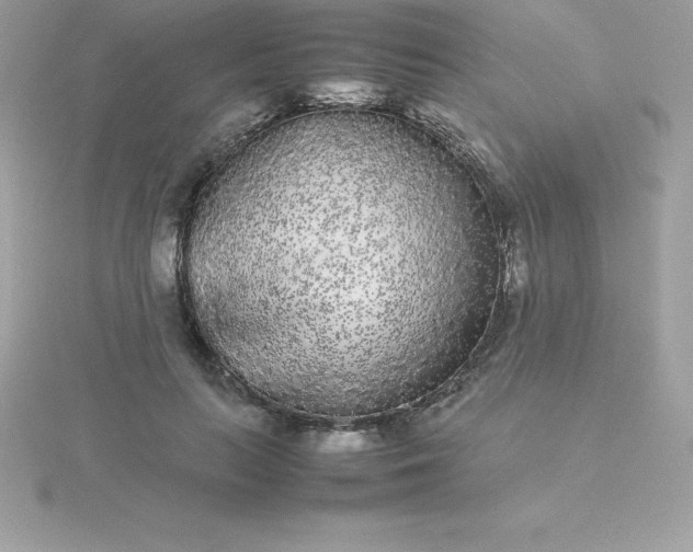 X0000115720647200911251918