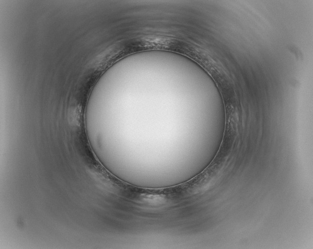 X0000115720649200911251918