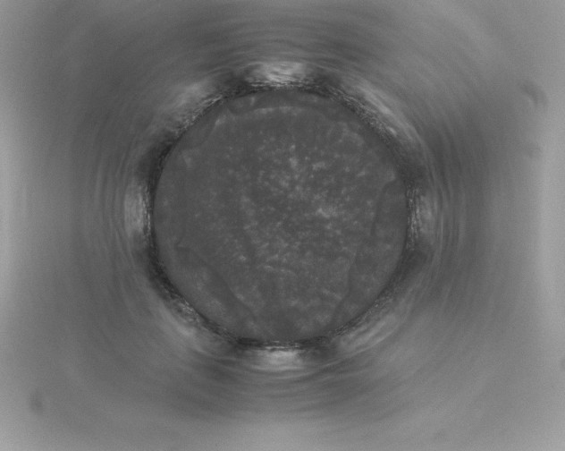 X0000115720651200911251918