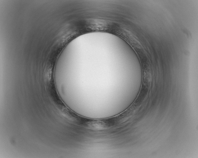 X0000115720652200911251918