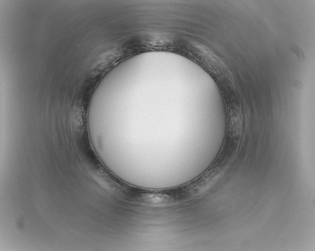 X0000115720654200911251918
