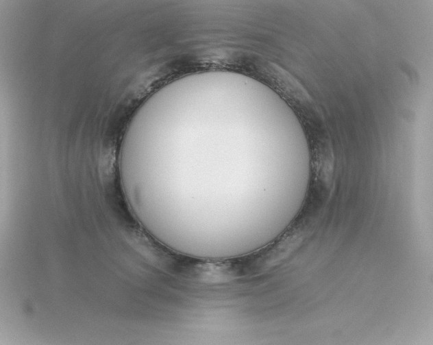 X0000115720660200911251918