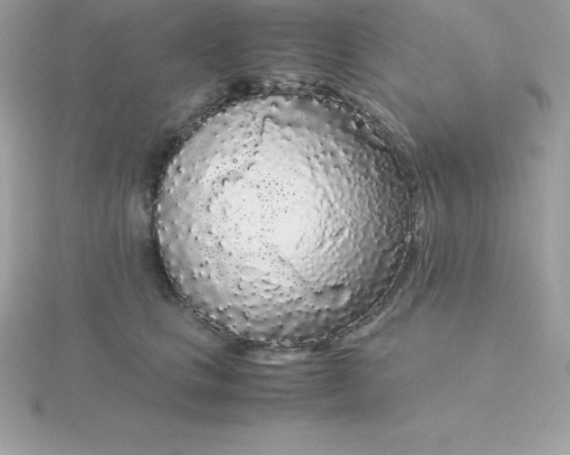 X0000115720661200911251918