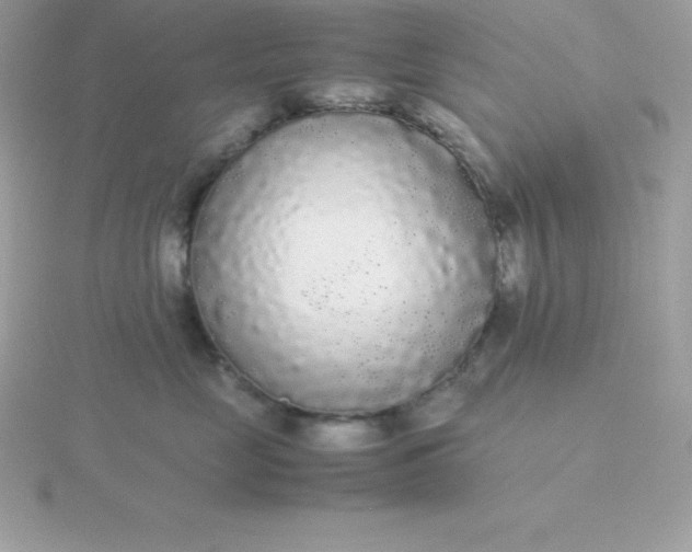 X0000115720669200911251918