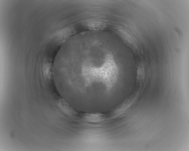 X0000115720671200911251918