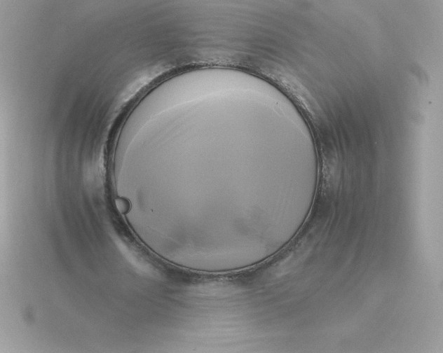 X0000115720674200911251917